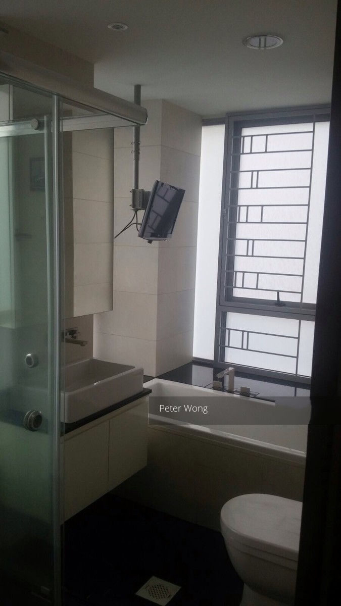 Iridium (D11), Apartment #110166522